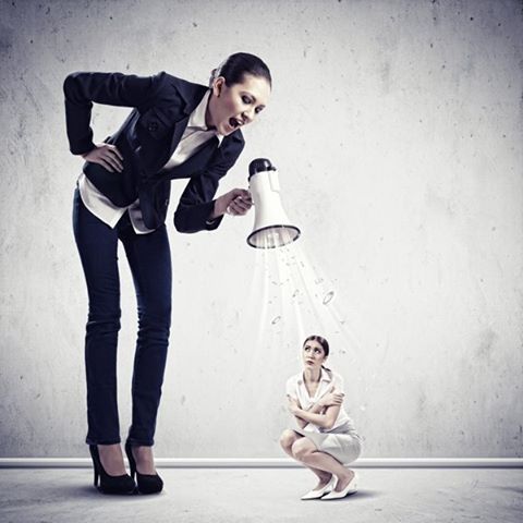 12376105_1223084654375532_8038868177137462533_n