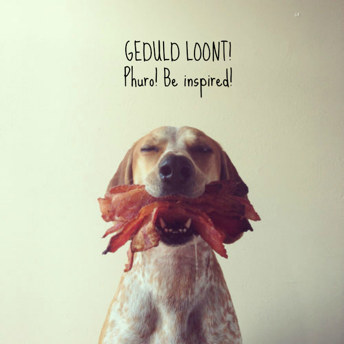 37522-patient-dog-mouth-full-of-baco-9jj2