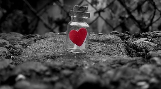 thumbnail-c5d3b317b4fe9bac19e90d303b8cf60e