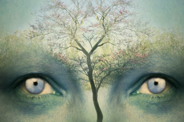 Beautiful artistic fantasy background representing a two human eyes and a tree