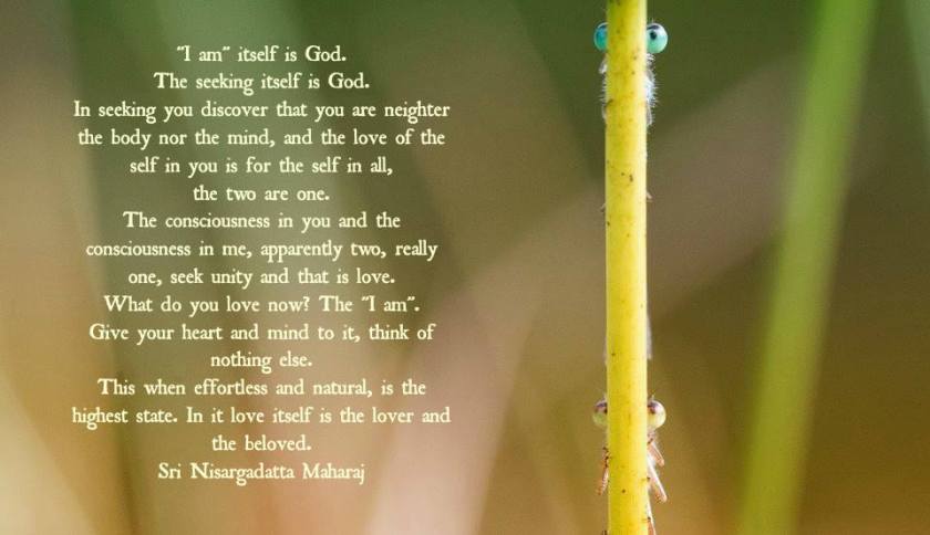 10409772_781075048582387_7640426582924982267_n