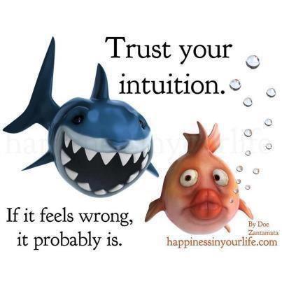 393221_454795891210306_465514303_n