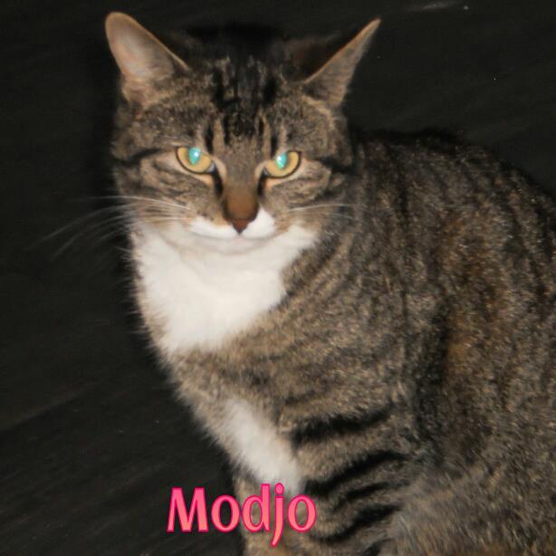 217945_4447978474721_1143367591_n