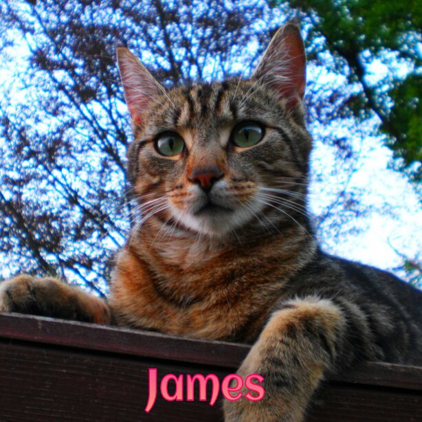 217945_4447978554723_1710512956_n