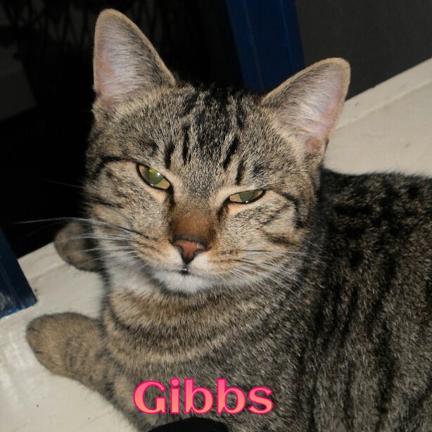 217945_4447978594724_764609468_n