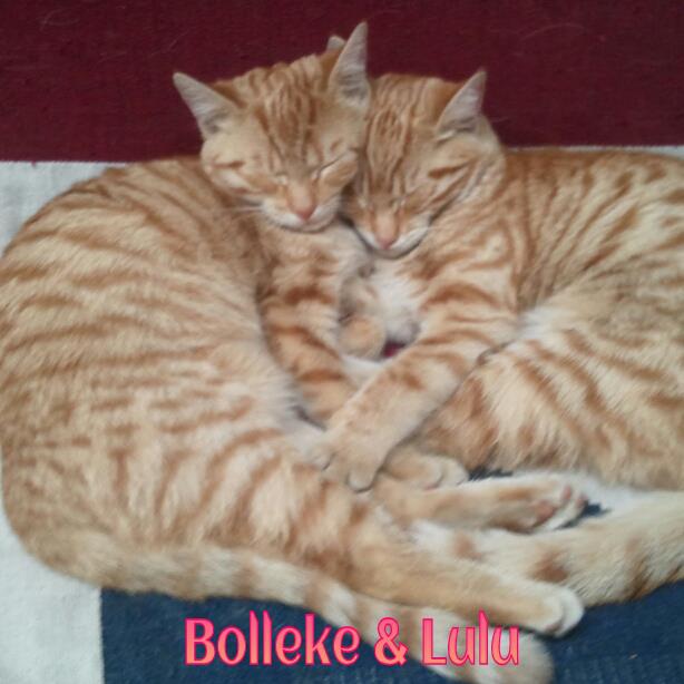 217945_4447978634725_441577930_n