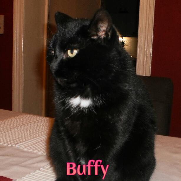 285525_4447986034910_382804017_n