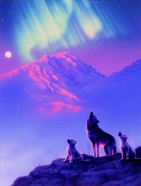 3809ec6dda2881f1e3fdfe8522158cb6--wolf-pictures-wolves-art