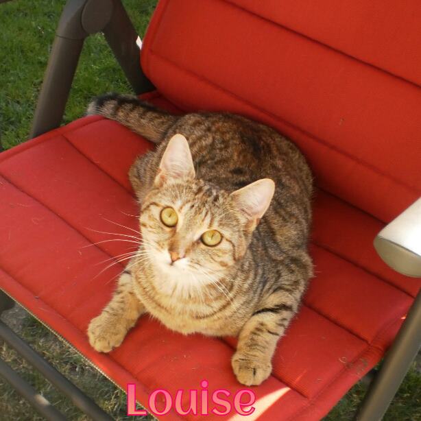 422773_4447982114812_631298367_n