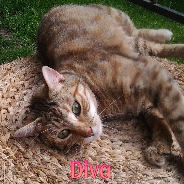 564762_4447985154888_449960950_n