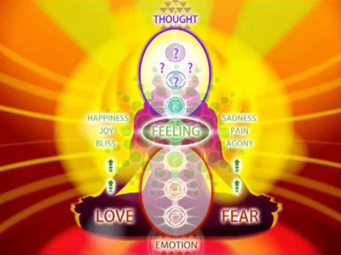 578785_442320482457847_24306890_n