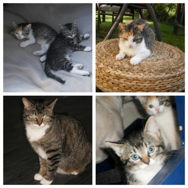 58250_10200098016750324_942158314_n