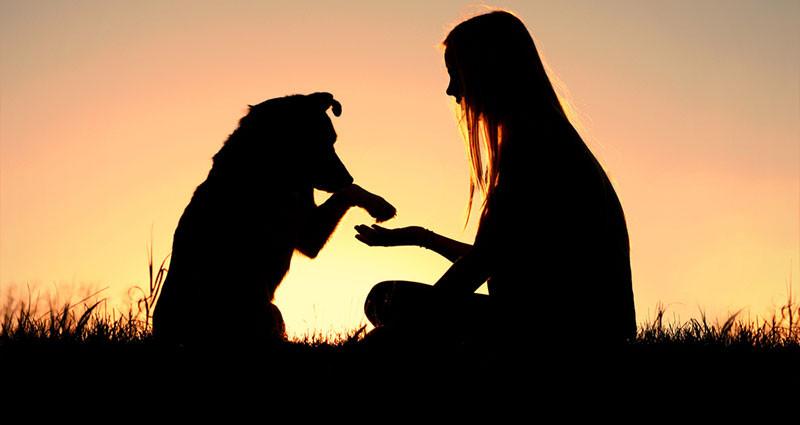 benefits-of-pet-adoption_1024x1024