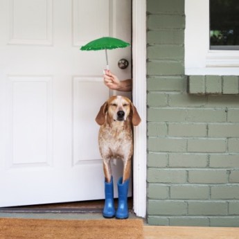 tumblr_nonqsrHRrM1r9164to1_400