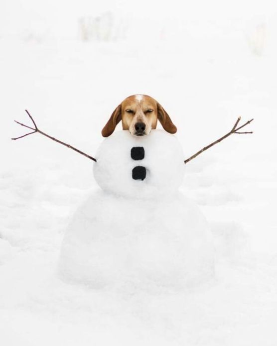 2c05991cc25772ea0ce95f46b963f3a9 (1)