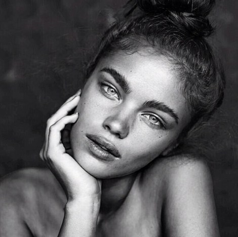 cce3c424114a4a8f5c5a2d4a83f94515