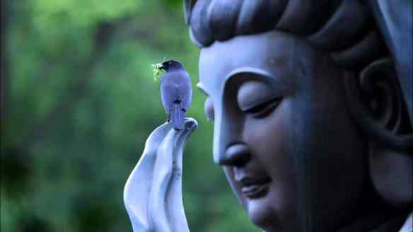 Great-Compassion-Buddha-Kuan-Yin-Statue-min