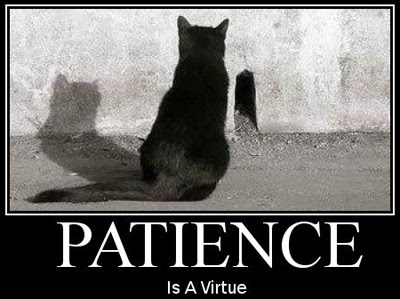 Patience-is-a-Virtue