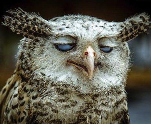 cee4eac5362b338eeb75ee2f2f8910c5