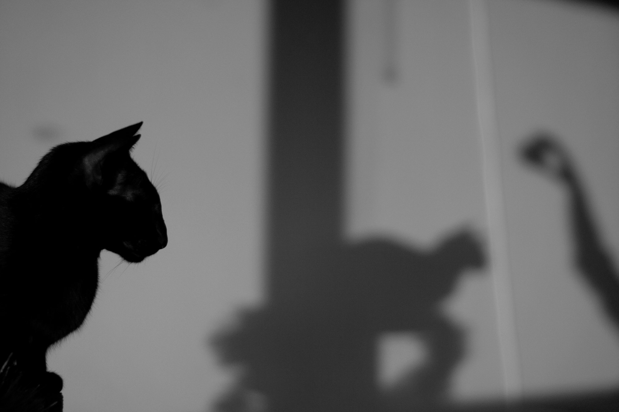 Integrate your shadow