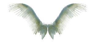 tumblr_mn0df0fIaZ1sqhtkyo1_500